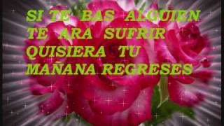 { TALVEZ TU MAÑANA REGRESES} LOS TEMERARIOS