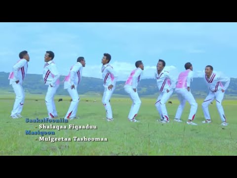 Daanyee Asaffaa (Wal Jabeeffachuun Yoona) New Ethiopian Oromo Music 2019(Official Video)