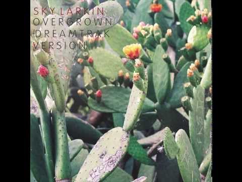 Sky Larkin - Overgrown (Dreamtrak version)