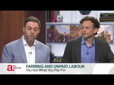 download lagu mp3 mp4 Farm Internships, download lagu Farm Internships gratis, unduh video klip Farm Internships