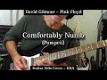 Comfortably Numb Pompeii Pink Floyd David Gilmour Guitar Solo Cover KDA