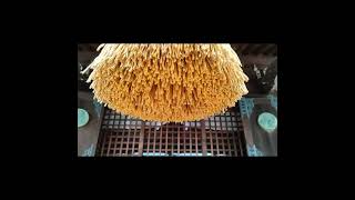 雷電神社の風景
