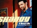 Shaggy - It Wasn't Me (Instrumental)