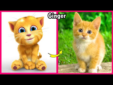 😺 My Talking Tom Friends 🔥  Real Life