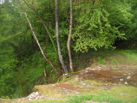 Све остави ради Христа, Господа Исуса