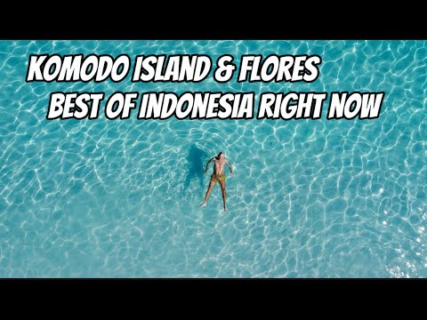 Sailing around Komodo Island, Flores & Labuan Bajo 🇮🇩 (Best Indonesia-Trip)