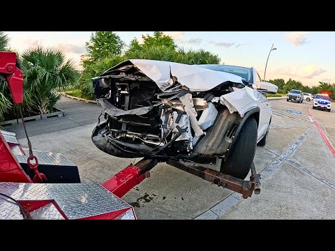 Dumpster Diving "Everyone Survived"