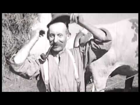 Heuernte in den 1930ern