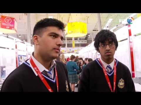 A conjecture concerning twin primes