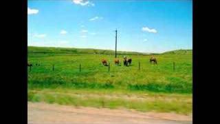 Rosie (Tom Waits Cover)