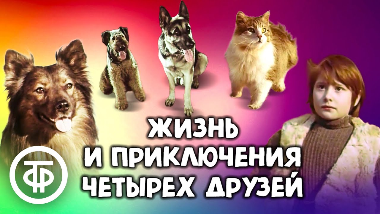 Miniature de la vidéo Жизнь и приключения четырех друзей. Добрый и трогательный фильм про животных и людей (1980) du film Жизнь и приключения четырёх друзей 1/2