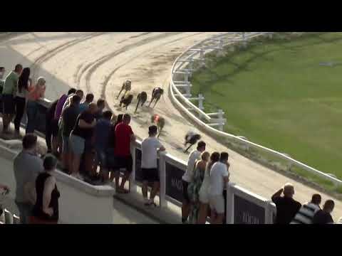 2023.06.23 4. FUTAM - KINCSEM PARK SPRINT DERBY ELŐDÖNTŐ I. FUTAM