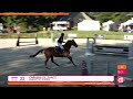 Vente Élevage SFO - Souche CSIO 5*