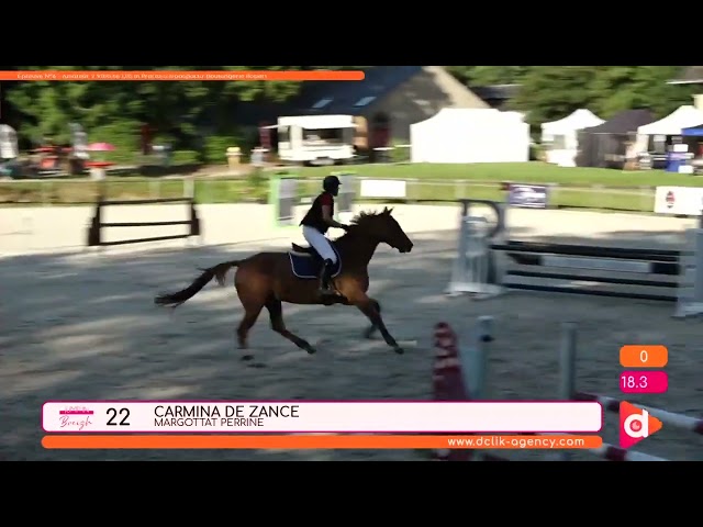 Vente &Eacute;levage SFO - Souche CSIO 5*