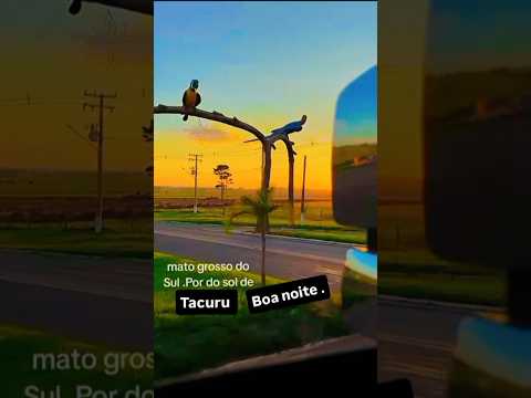 final de tarde em Tacuru Mato Grosso Sul .
