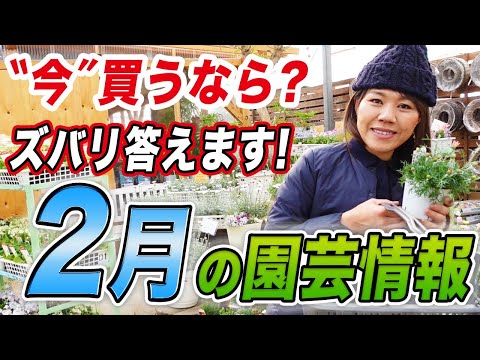 園芸 春の雪の結晶、白い鐘