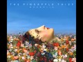 Sense of Fear The Pineapple Thief 