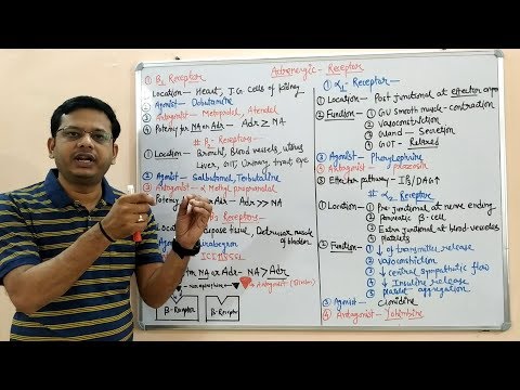 Adrenergic Drugs (Part 02)|  Alfa and Beta Receptors with Their Location and Functions | Adrenergic