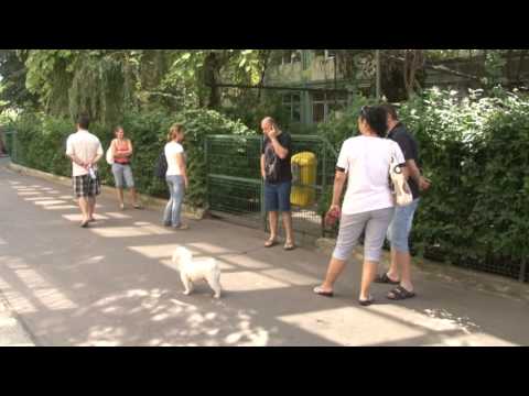 12 elevi cu media 10 - Dobrogea Tv