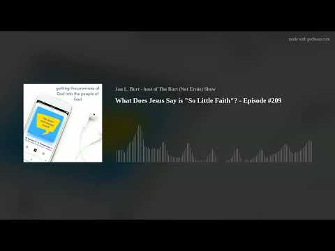 What Does Jesus Say is "So Little Faith"? - Episode #209