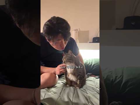 고양이 인터넷방송 시키는 악덕 집사