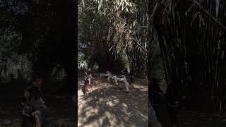 Download lagu Tes Chikung Calon Warga Ikspi #paskersakeramadura #ikspimadura #ikspi mp3