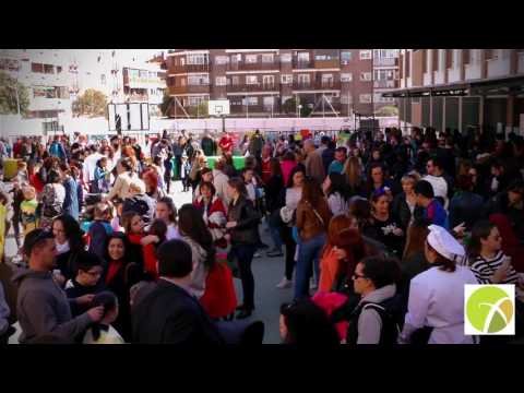 Video Youtube SAGRADA FAMILIA DE URGEL