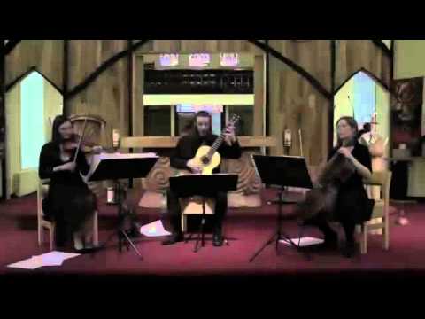 Trio Elatha Irish Tour January   2012 mov