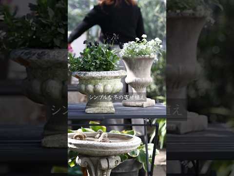 2022年のウィンターベールの利点は何ですか