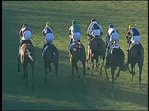 Galoppo 14/01/2017 - 1ª corsa