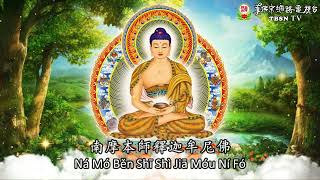 Download lagu Na Mo Ben Shi Shi Jia Mou Ni Fo (1jam) 南摩本師釋迦牟尼佛(一小時) mp3