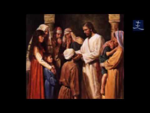 Todo lo ha hecho bien