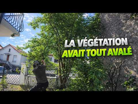 La végétation avait tout englouti, le client ne reconnaissait plus son jardin après mon passage