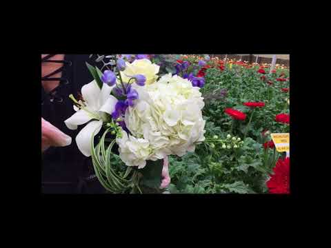 Hanukkah bouquet featuring our LBR  Padma Gerbera