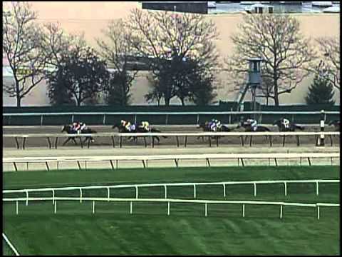 Fusaichi Pegasus - 2000 Wood Memorial S. (G2)