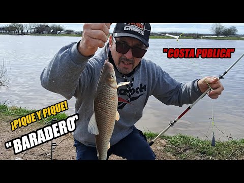 ¡BUENOS PIQUES EN BARADERO!🎣 bogas,bagres y una buena jornada de pesca 