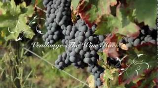 preview picture of video 'La Grande Maison Thouars - Vendange - The Wine Harvest'