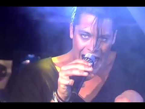 Picnic At The Whitehouse - We Need Protection (live)