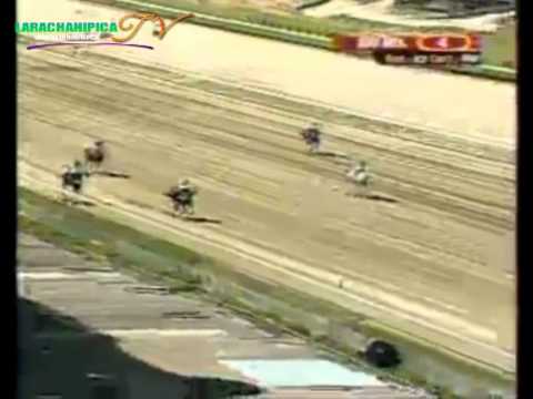 LA RINCONADA 4 CARRERA, DOMINGO 19 DE OCTUBRE DEL 2014