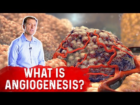 How to Overcome Adrenal Stress with Intermittent Fasting – Dr Berg