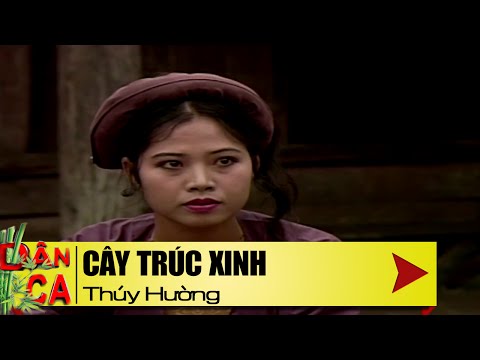 Ảnh bài hát Cây Trúc Xinh - Thể hiện bởi Thúy Hường (NSND)