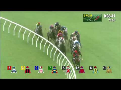 2022 07 01 沙田 第二場 新力高升 莫雷拉