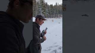 BUCKSHOT And PISTOL GRIP