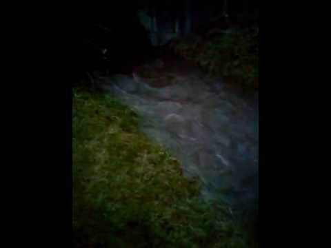 Jahrhundert Hochwasser in Pflummern