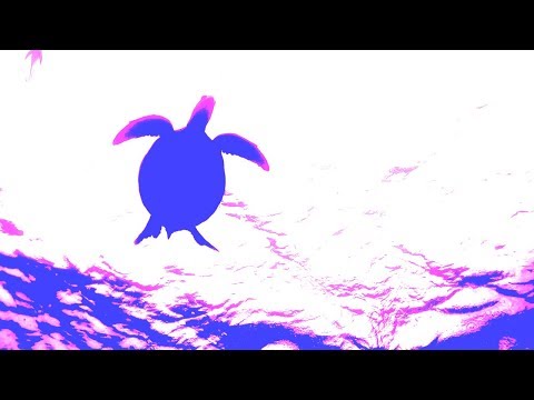 Bassnectar - Coast to Coasters Music Video [Naux Faux]