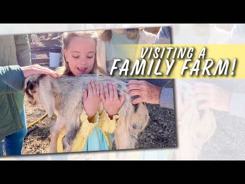 Quintuplets Visit Family Farm - Doughnut Date