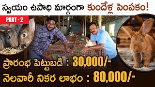 How To Start a Rabbit Farming Business? - Rabbit Farming In Telugu | కుందేళ్ళ పెంపకం | Part 2