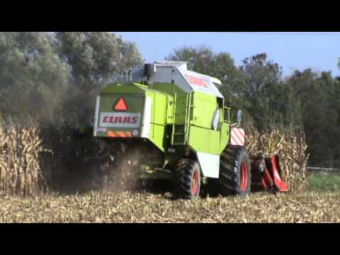 Loonw. Vanneste L - Wevelgem