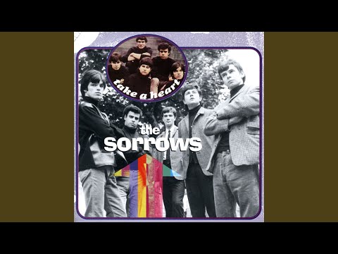 I Don't Wanna Be Free