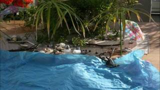 Marion & Mark's Stop Motion Wedding